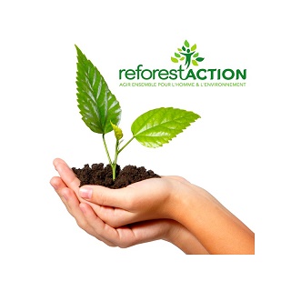 reforest%20small_1.jpg